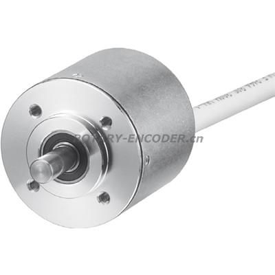 RI36-O/100ES.31RA